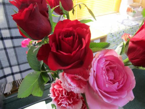 2016 rosecup (102)